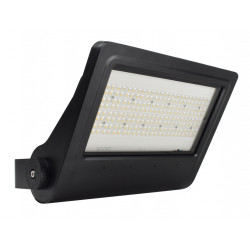 Projecteur LED Pro 100W