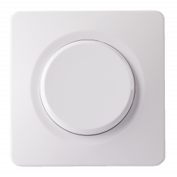 Interrupteur va et vient blanc avec griffes + plaque simple EPURE