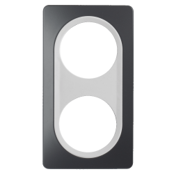 Plaque 2 postes anthracite...