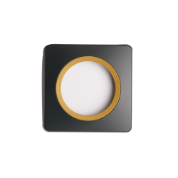 Plaque 1 poste anthracite avec insert bronze EPURE