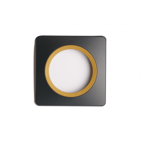 Plaque 1 poste anthracite avec insert bronze EPURE