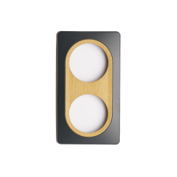 Plaque 2 postes anthracite avec insert bronze EPURE