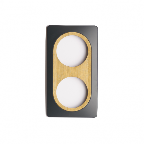 Plaque 2 postes anthracite avec insert bronze EPURE