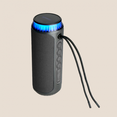 Enceinte portable bluetooth FEROCE